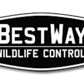 Bestway Wildlife Control : Animal Control Services in Nashua